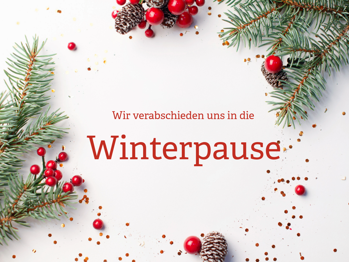 Du betrachtest gerade Liebe Teilnehmerinnen und Teilnehmer des digitalen Pflegebistros,